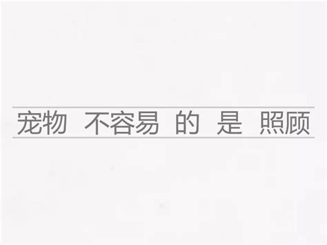 16 Build Sentence Unjumble