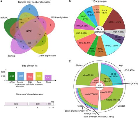 Frontiers Identification Of Pan Cancer Prognostic Biomarkers Through