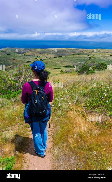 Hiker On The Scorpion Canyon Loop Trail Santa Cruz Island Channel