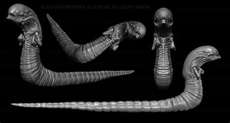 Explore The Best Chestburster Art Deviantart