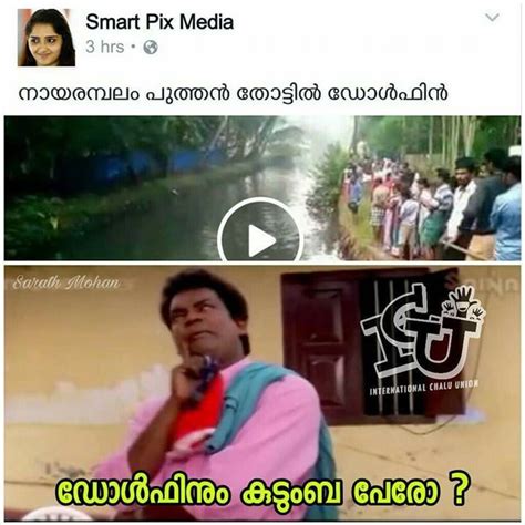 Pin On Mallu Trollz