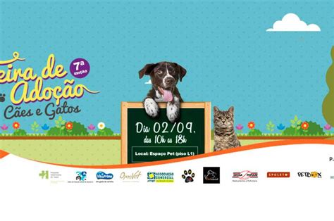 Golden Square Shopping Realiza Feira De Ado O De Animais