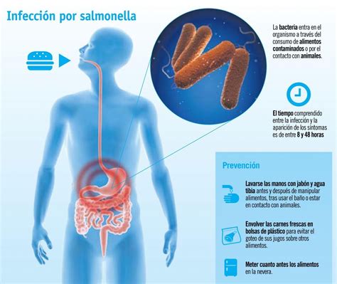 Salmonella Symptoms