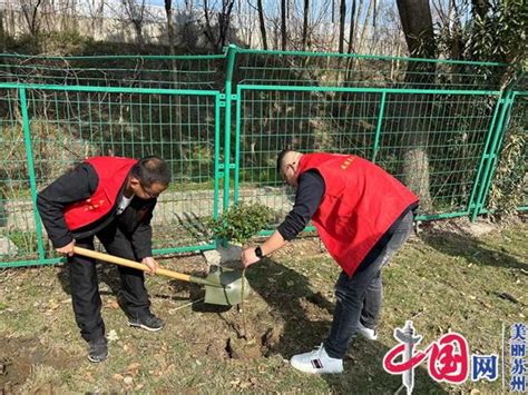 苏州聚金村“党建红”遇上“生态绿”携手共建绿色未来 美丽江苏 中国网•东海资讯