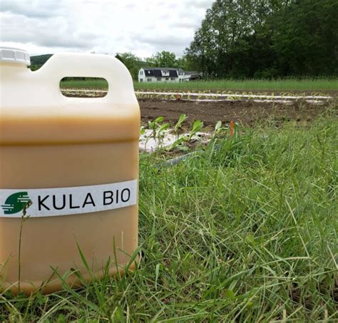 Kula Bio uses microbes to replace fossil fuel-based fertilizers