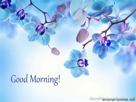 Good Morning Blue Flower Wishes Good Morning Wishes