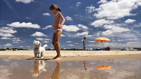 Cani E Gatti In Viaggio Le Regole E I Consigli Per Una Vacanza