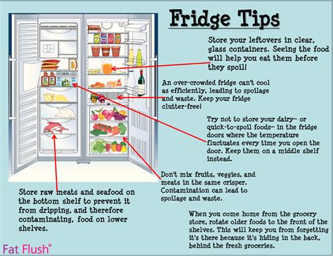 Fridge Tips: How To Keep Your Food Fresh | Fat Flush