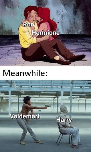 Deathly Hallows 2 in a nutshell: : r/HarryPotterMemes