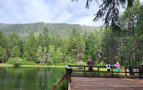 Have A Blast Feeding Salmon And Trout At Wizard Falls Fish Hatchery