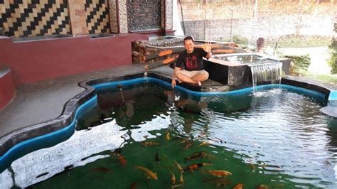 Kolam Budidaya Ikan Koi