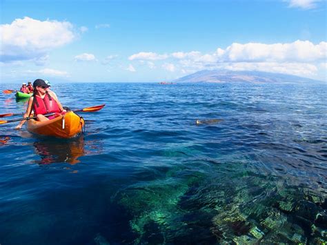 Aloha Kayaks Maui Kihei 2022 Alles Wat U Moet Weten Voordat Je Gaat