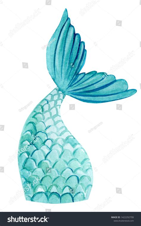 Fish Tail Mermaid On Isolated White Stock Illustration 1422292799 | Shutterstock