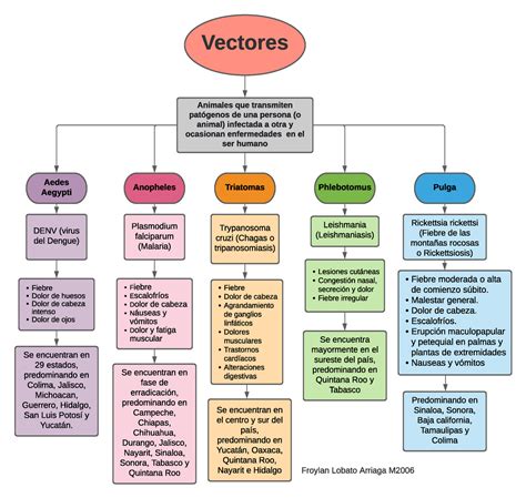 Mapa Conceptual De Los Vectores Nbkomputer