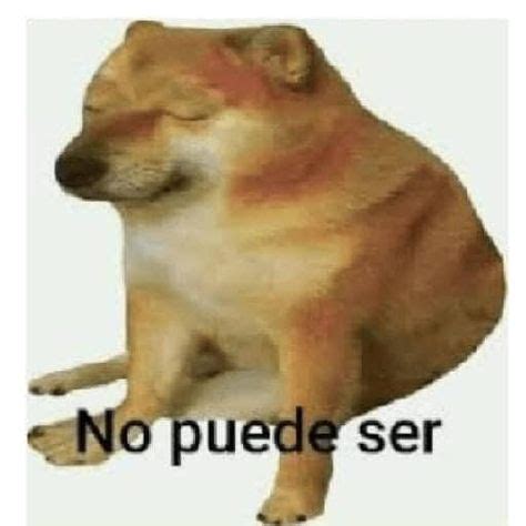 Ideas De Cheems En Perrito Memes Divertidos Fondos De Images Sexiz Pix