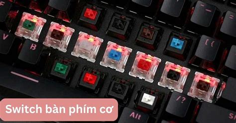 Switch bàn phím cơ là gì? Có mấy loại Switch bàn phím cơ?