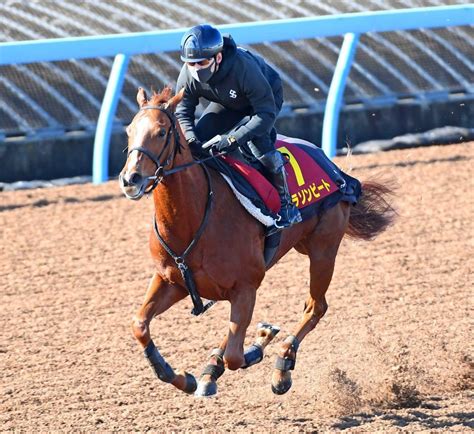 【阪神jf】コラソンビートは5枠10番 偶数枠に安どうま屋デイリースポーツ Online