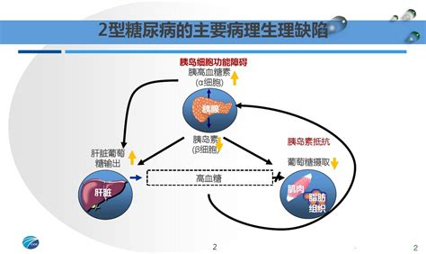 医学课件2型糖尿病的药物治疗ppt演示课件word文档在线阅读与下载免费文档