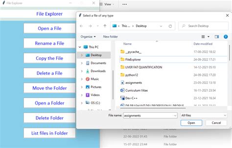 File Explorer In Python Using Tkinter Copyassignment