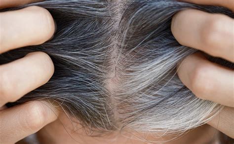 Scientists May Have Discovered Why Our Hair Turns Gray Trendradars