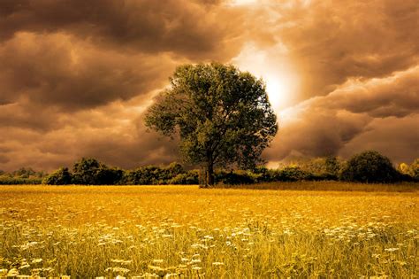 landscape  stock photo public domain pictures