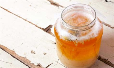 30 Fermented Drinks You Can Make at Home - My Fermented Foods