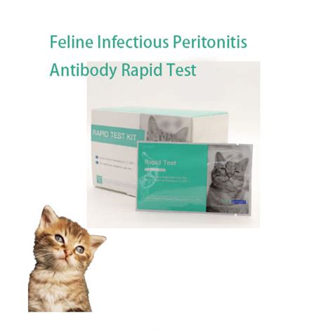 Feline Infectious Peritonitis Fipv Antibody Rapid Test Fip Test And