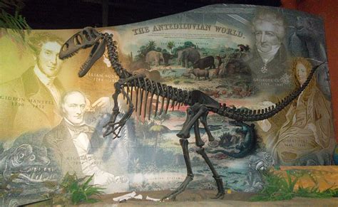 Megalosaurus Facts, Discovery, Habitat, and Pictures