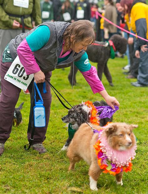 Greenhill Humane Society's Bark in the Park goes to the dogs | KVAL