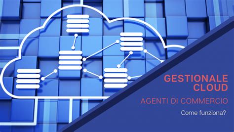 Gestionale Cloud agenti di commercio Perché usarlo Ordiniinordine it