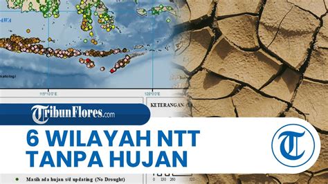 Wilayah Di Ntt Alami Hari Tanpa Hujan Ekstrem Panjang Salah Satunya