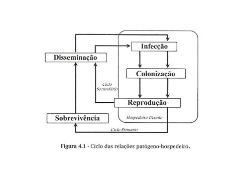 Ciclo Das Relações Patógeno Hospedeiro Librain