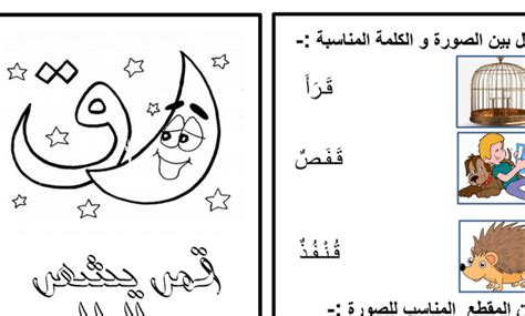 ورقة عمل حرف القاف لغة عربية صف أول فصل ثاني