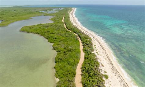 Va Tulum Por Turismo E Inversión Austriaca Quadratin Quintana Roo