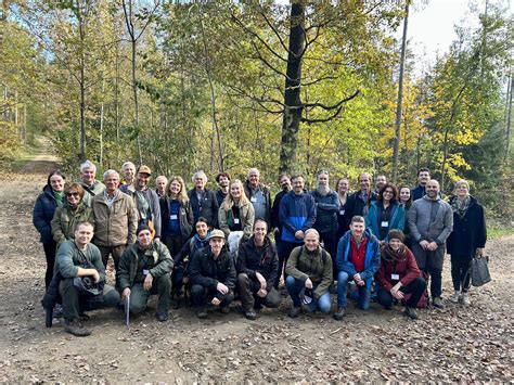 Where tradition meets transformation – Walking Austria’s forest floor