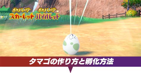 【ポケモンsv】タマゴの作り方と孵化方法【スカーレットバイオレット】｜ゲームエイト