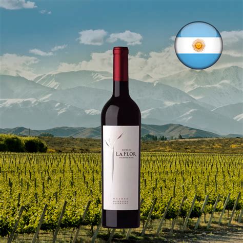 La Flor De Pulenta Malbec 2019 Vinho Tinto Argentino Center Gourmet