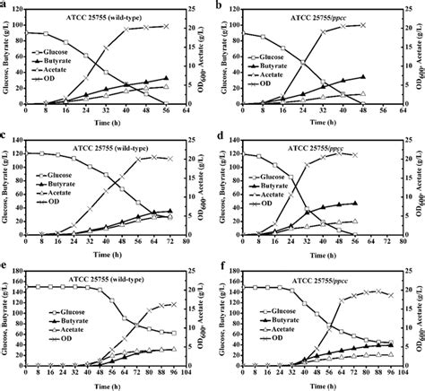 Comparison Of Batch Fermentations Of C Tyrobutyricum Atcc