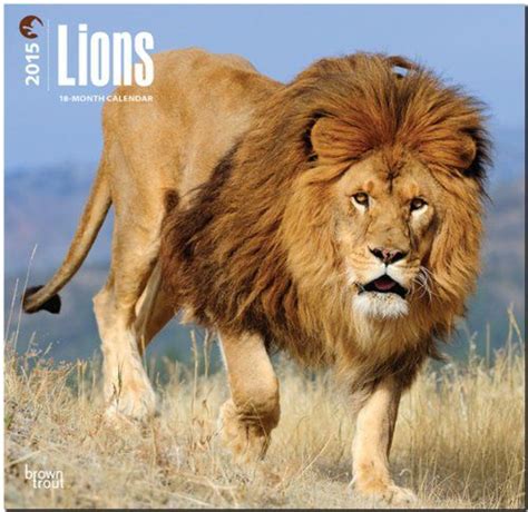 90 Lion Names Meanings Lion Cat Calendar Big Cats