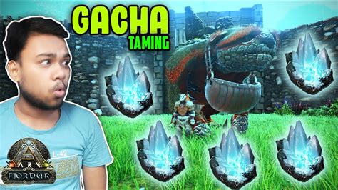 How To Tame A Gacha In Ark Fjordur