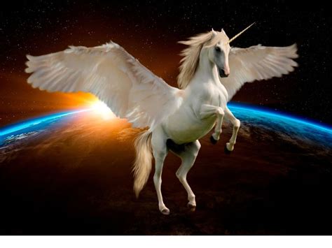 india home     worlds top  unicorns report