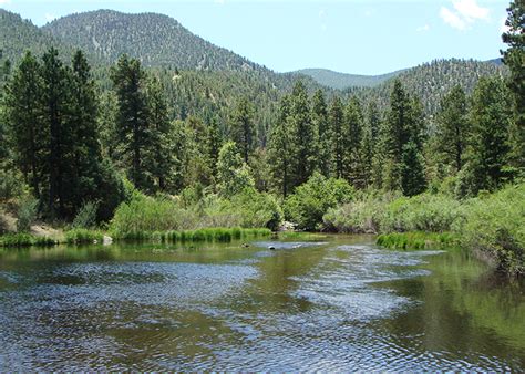 Cimarron Canyon State Park - State Parks