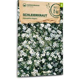 Samen Maier Gypsophila Bio 1 paquete Bloomling Tienda online España