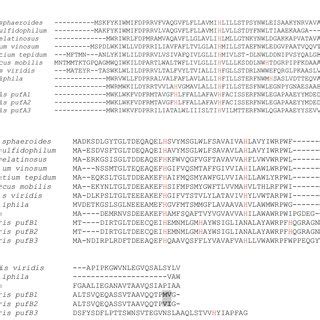 Alignments Of The Deduced Amino Acid Sequences Of The Pufa A And Pufb