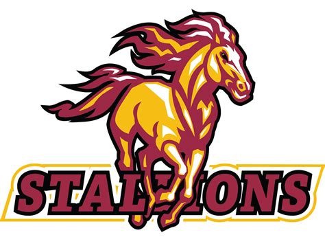 Stallions Logo Behance