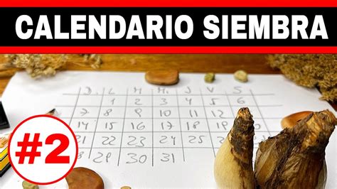 Calendario De Siembra Planifica Tu Huerta De Manera Efectiva