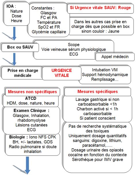 Intoxications médicamenteuses volontaires IMV Prise en charge