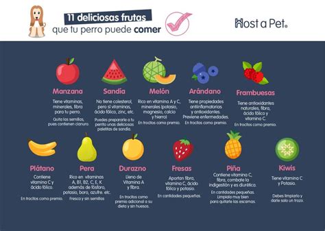 11 Deliciosas Frutas Que Tu Perro Puede Comer Alimentacion Perros