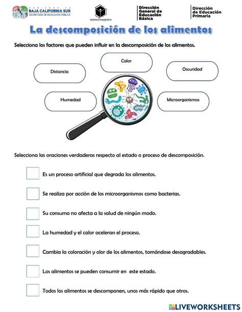 Descomposición de los alimentos worksheet Map