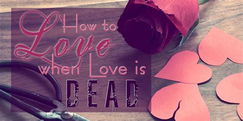 How To Love When Love Is Dead Broken Vows Restored Hearts